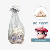 Meo giống nấm hầu thủ bờm sư tử (500gr) hàng có sẵn chất lượng - 3C FARM