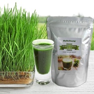 Organic Barley Grass Powder original 250g barley grass official store organic barley grass powder Body Detoxification and Weight Loss Barley Health Matcha Beverage