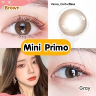 คอนแทคเลนส์  Mini Primo  : Gray - Brown / ยี่ห้อ Kitty kawaii ( ค่าสายตาปกติ - 1000 )