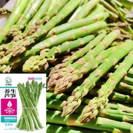 Asparagus Seeds Green Asparagus Seeds Four Seasons Vegetable Seeds Farmland Courtyard Planting Veget