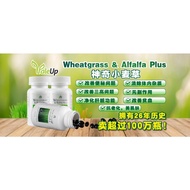 Wheatgrass Alfalfa Plus CoQ10【小麦草苜蓿芽Plus CoQ10】(120softgels x 3)