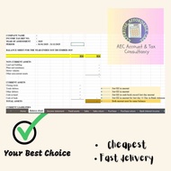 Income Tax Computation 2025 Template Auto Calculate Form B LHDN - financial statement LAPOR CUKAI BO