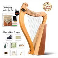 Tặng kalimba 34 phím- Đàn hạc 19 dây Tonic - phụ kiện 6 món túi đeo-Gỗ Tần bì T01 hàng chính hãng