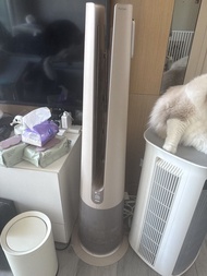 LG PuriCare 直立式空氣清新機