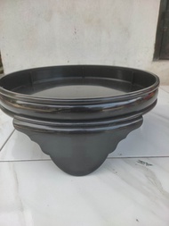 tebok Lovebird semok pvc