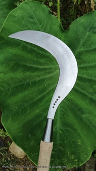 Arit madura untuk rumput ranting khas madura cap bintan5 baja per