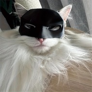 Cat Mask Cat Helmet (Batcat) Toy Batman Mask Helmet 3D Printing Batman Cat Mask Pet Mask Decoration