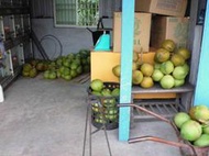 RURU的家  產地台灣  屏東   椰子(有機飲品 PATAYA02)