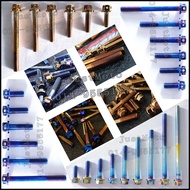 M6 screw titanium skru titanium Disc brake screw titanium fender Screw king drag Skru titanium engin