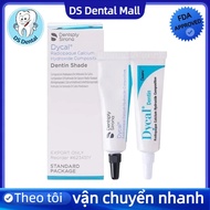 DENTSPLY Dycal Self-congealing Calcium Hydroxide Dental Material (13g + 11g)