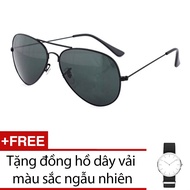 Men's aviator style sunglasses + Free watch