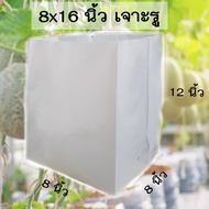 ถุงปลูกเมล่อน 8x16 นิ้ว สีขาว เจาะรู (10/20 ใบ)