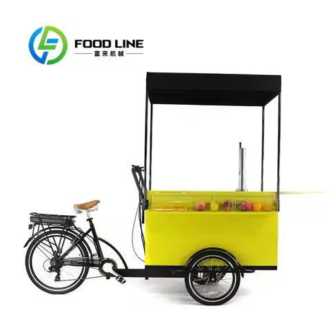 Electric Beer Cargo Bike Adult Tricycle 3 Wheels Kiosk Mobile Food Display Cart for Coffee Fruit Bee