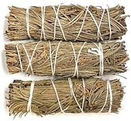 Saint Terra - Pinon Pine Smudge Stick 4 Inches; Pack of 3