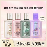 Schwarzkopf Shampoo Travel Size Sample Shampoo Dandruff Conditioning Ginger Oil Control Shampoo Vase