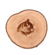 台灣肖楠杯墊-長鬚貓咪|用原木年輪隔熱墊打造居家辦公室的質感