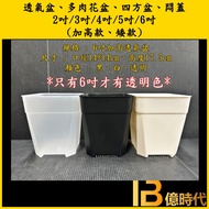 Yishi Gardening+Breathable Pot 5 Inch 6 Heightened Succulent Flower Square Breathable Plastic Root C