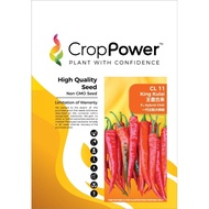 F1 KING KULAI CL11 CILI BESAR KULAI 大辣椒古来椒 10g CROP POWER