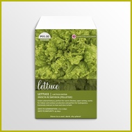 ⇩ ♙ ➬ Invicta RZ Batavia Pelleted Lettuce Seeds