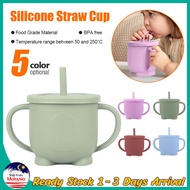 Baby Infant Training Silicone Sippy Cup Eco Friendly Free BPA Baby bottle Baby Drinking Cup with Straw &amp; Lids Toddlers Kids Cawan Budak