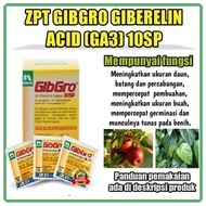 ZPT GibGro Giberelin Acid (GA3) 10 SP