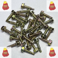 #10 x 3/4" Awning Screws (Skru Besi) Hex Head Self Drilling Screws