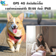 Ok Watch อุปกรณ์ติดตามสัตว์ ติดตามไร้สาย PET GPS TRACKER รองรับ 4G