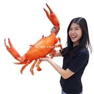 LOKAL Crab Doll For Unique Gift Photo Prop Seafood Lover Content Creator Eating Food Chef Scuba Mate