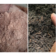3kg/7litre. Tanah keladi. Media tanaman. Tanah hitam.  Potting soil. Lebih kurang 3kg