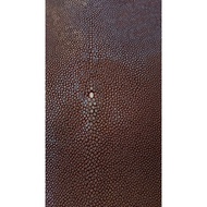 Stingray skin 7 inches (17,5 x 40cm) imported from Thailand