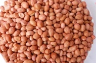 Kacang Tanah Import India 1 kg/Kacang Tanah Mentah super