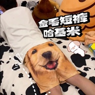 Popular Products Dog Shorts Couple Wear Golden Retriever Shorts Husky Shorts Summer Shorts Sports Pa