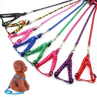 Cat Harness + Cat Walking Leash – Cat Harness Leash Set