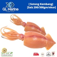 [Wholesale][Trusted Grocery] Frozen Sotong Kembong 1pcs [ Saiz 500GM / 550GM /ekor ]