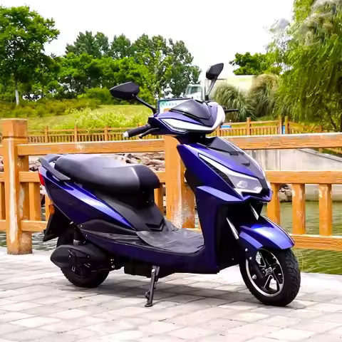 10/12inch 600W 800W 40-50km/h Speed 45-65km Range Eec Free Shipping Electric Moped Bike