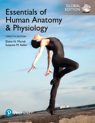 ESSENTIALS OF HUMAN ANATOMY AND PHYSIOLOGY  12TH EDITION  ELAINE N MARIEB  SUZANNE M. KELLER