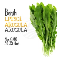 BENIH Gargil / Arugula Seeds