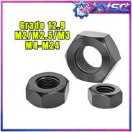 Grade 12 Hex Nut, Black Hex Nut, High Strength Nut M2/M2.5/M3/M4-M24 【H8-xy5】