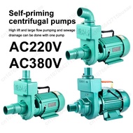 AC220V / AC380V High-flow Sewage/water Pump, High-pressure Water Pump for Agricultural Irrigation an