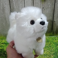 TERBARU Boneka Anjing Mini Pom Putih NON COD