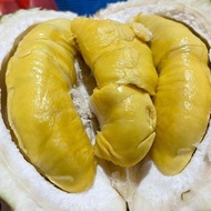 durian duren musang king asli padang - utuh bulat 2.70 kg