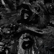 【预订】草东没有派对 No Party For Cao Dong《瓦合 The Clod》CD