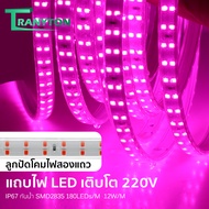 20 เมตร 220Vไฟเส้นปลูกต้นไม้ LED ลูกปัด Diwali 2 ชิ้น ไฟเส้นปลูกต้นไม้ ช่วยทำใบ ทำดอก ตัดได้ ยืดหยุ่
