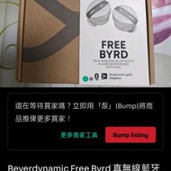 Beyerdynamic Free Byrd