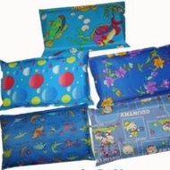 Cool pillow/cold pillow/cold pillow