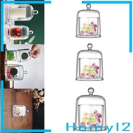 [HOMYL2] Cloche Tabletop Ornament for Collectibles Jewelry Small Desserts