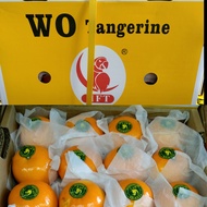 ส้ม ส้มไต้หวัน ตรานกแก้ว Size M, L, XL, XL ส้มแมนดาริน ไต้หวัน Mandarin Orange (ยกลัง6-7KG) ส้มพันธุ