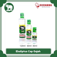 Usfi Eucalyptus Oil -- Elephant Cap