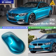 BMW Snapper Rocks Blue- C1G 2K Automotive Car Paint / Motor Paint / Cat Bancuh Kereta 2K / Aerosol