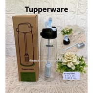 Tupperware Pure N Go Water Filter Bottle Built-In 750ml (1 Piece)
